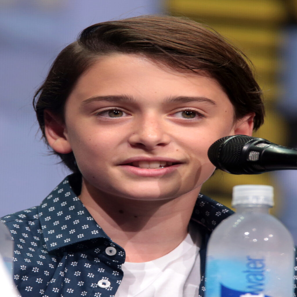 Noah Schnapp net worth, professional life, personal life ... and more ...